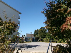 写真9