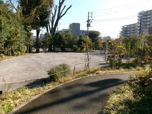 写真10
