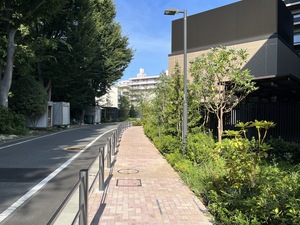 写真3