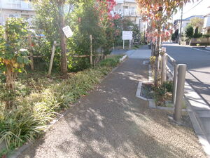 写真6