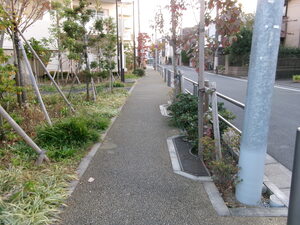 写真7