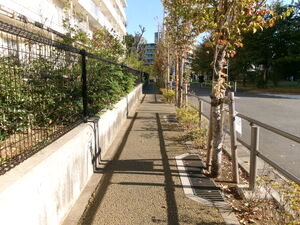 写真8