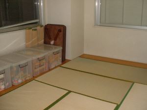 写真4