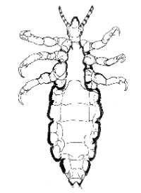 イラスト1