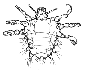 イラスト2