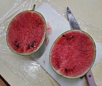 スイカの写真
