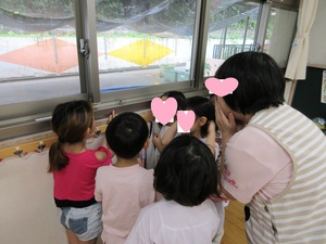 トンボ