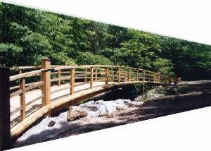 写真2