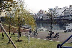 写真2