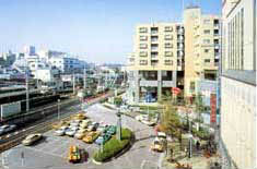 写真2