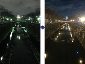 写真:2種類の光の色を水面の反射で比較している様子