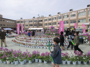 写真1