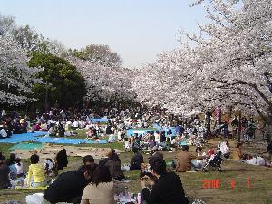 写真1