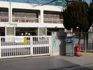 写真1