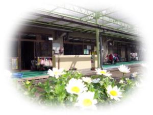 写真1