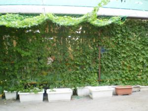 写真2