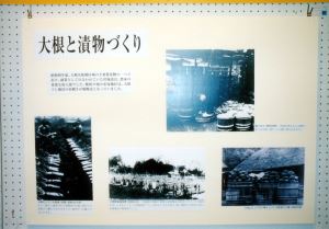 写真4