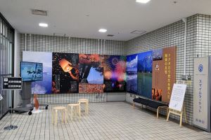 写真3