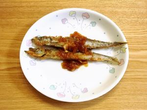 写真1
