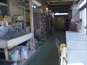 写真1