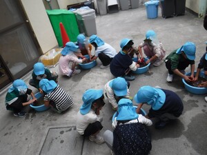 園児たちがタライに溜めた水でさつま芋を洗っています