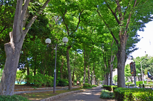 写真：赤塚公園3