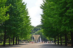 写真：赤塚公園4