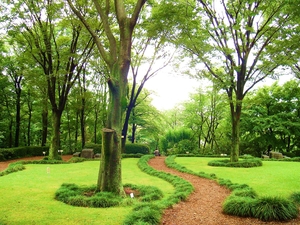 写真：ケヤキ広場