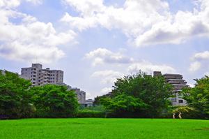 写真：加賀二丁目公園