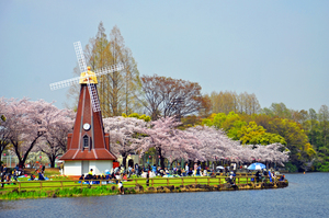 写真：都立浮間公園