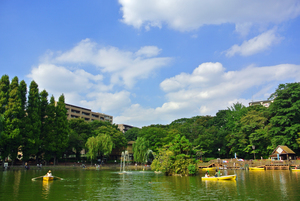 写真：見次公園1