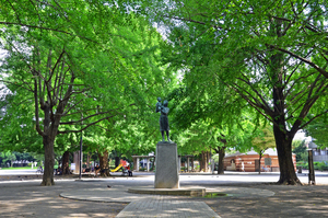 写真：板橋区平和公園