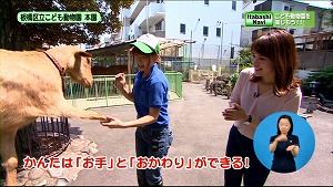 写真：こども動物園