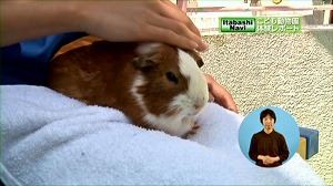サムネイル4