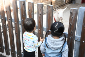 こども動物園の写真