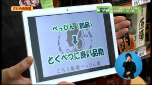 サムネイル:iPadで説明