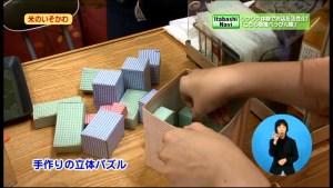 サムネイル:手作りの立体パズルについて