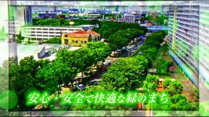 写真5