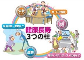 図：健康長寿の3つの柱　栄養（口腔機能）・運動・社会参加