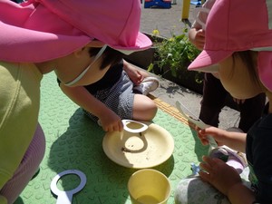 写真:虫眼鏡で虫を観察する子どもたち