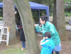 写真2:木の音を聞く様子
