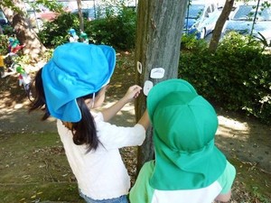 写真2:木の顔を作る様子