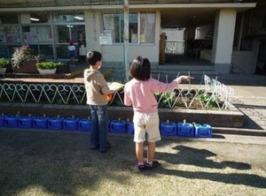 写真2:校庭で色探しする様子