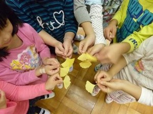 写真1:似た葉っぱ同士を選ぶ様子
