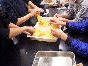 写真2:染め上がったハンカチ