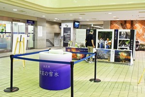 サムネイル:一般展示