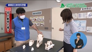 サムネイル:クワちゃんラボ
