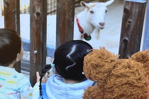 サラボルサ10
