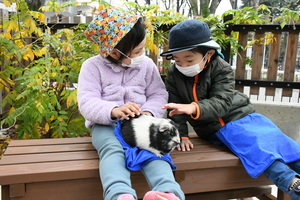 板橋こども動物園