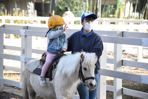 動物園　ポニー引馬体験の様子